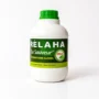 FERELAHA