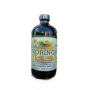 MORINGA (living bitters)